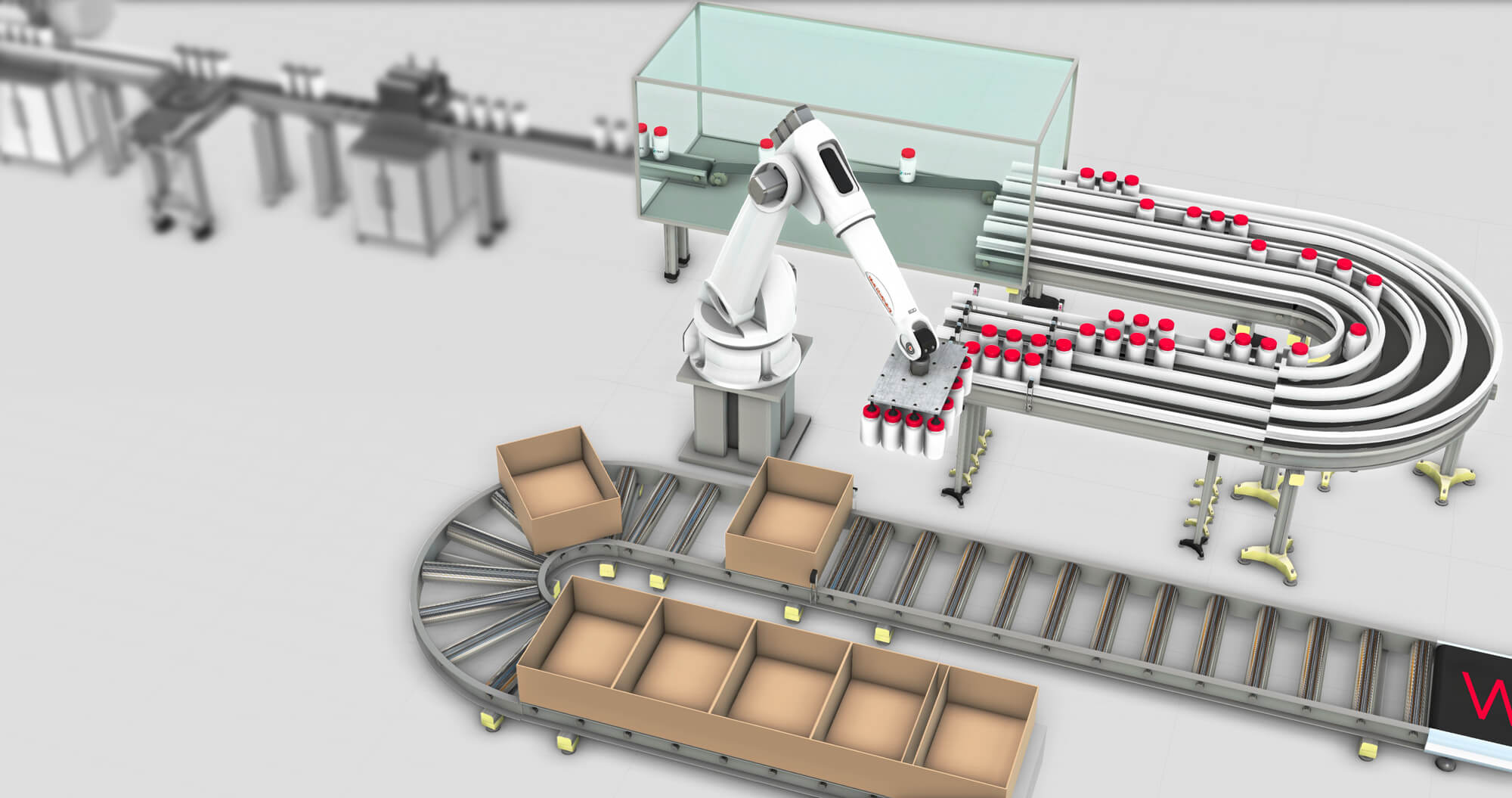 a pharmaceutical packaging line